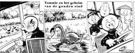tommy 17